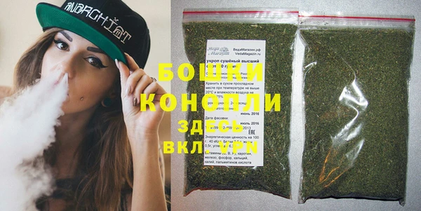 прущие грибы Нея