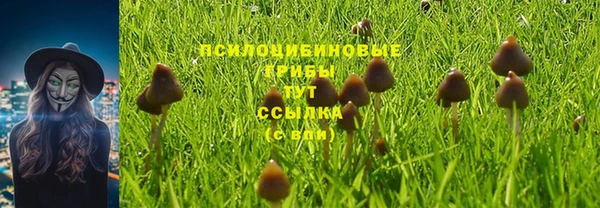 амф Нефтекумск