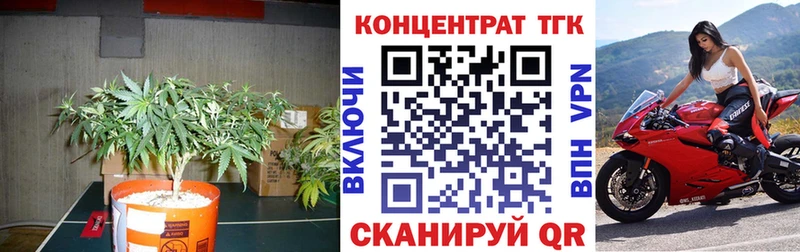 магазин продажи наркотиков  Шацк  Дистиллят ТГК Wax 