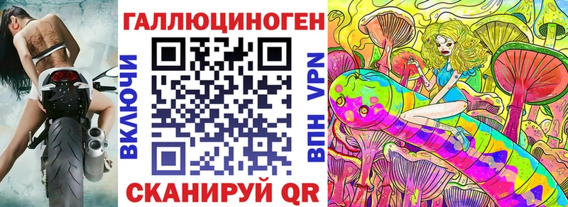 закладка  Шацк  Галлюциногенные грибы прущие грибы 
