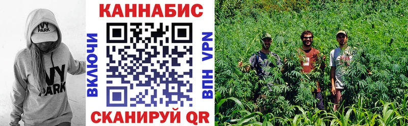 где найти   Шацк  Канабис OG Kush 
